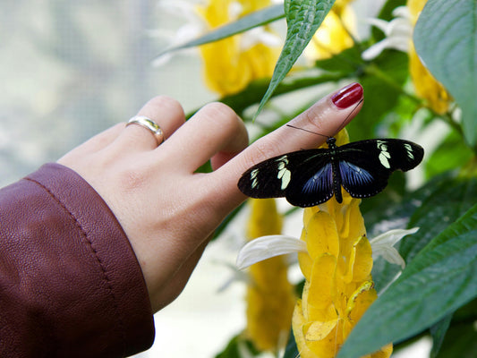 The History and Evolution of Fake Nails in Fashion - Glamnetic